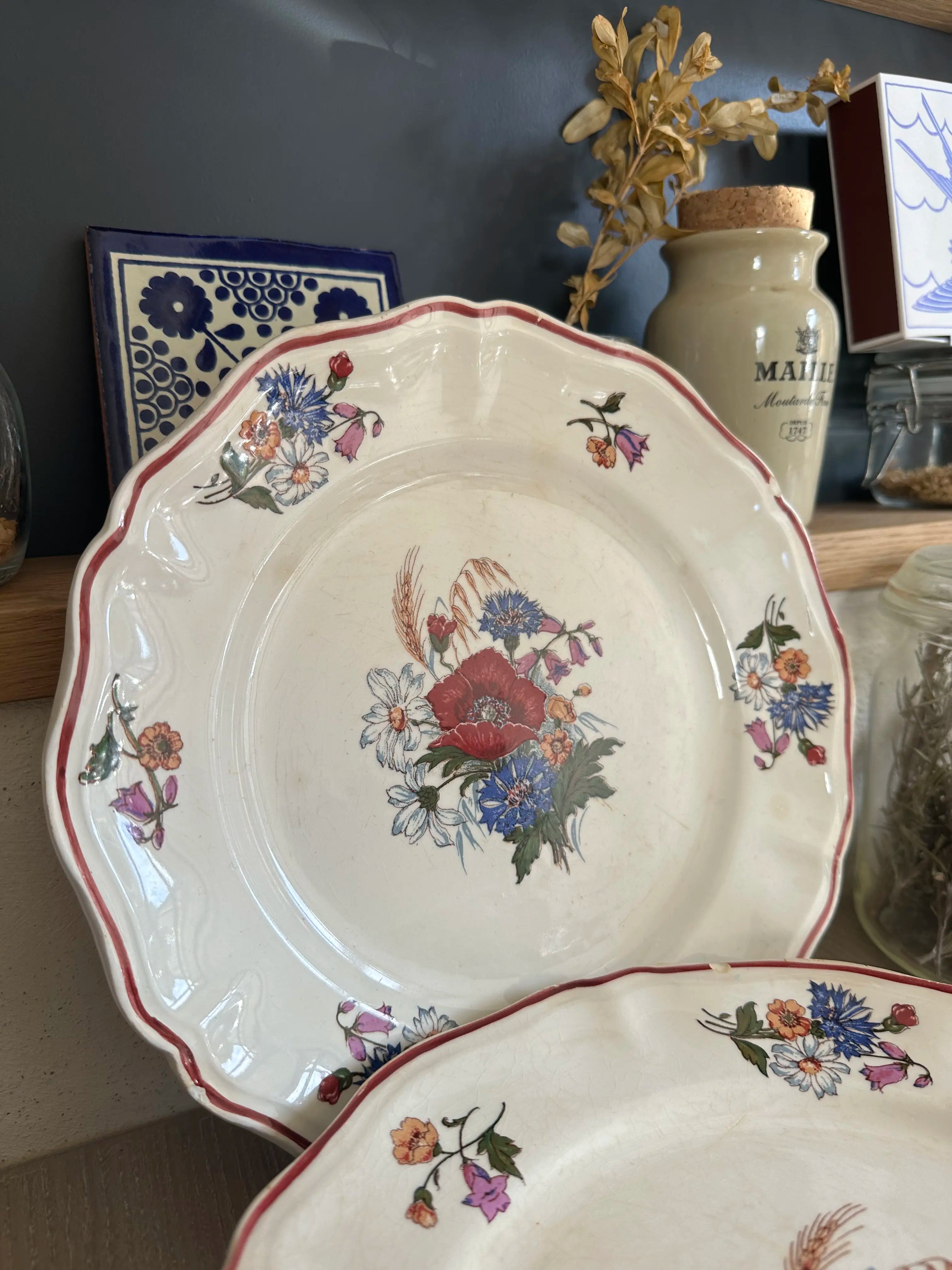 Grandes assiettes décoratives Sarreguemines modèle “Agreste”