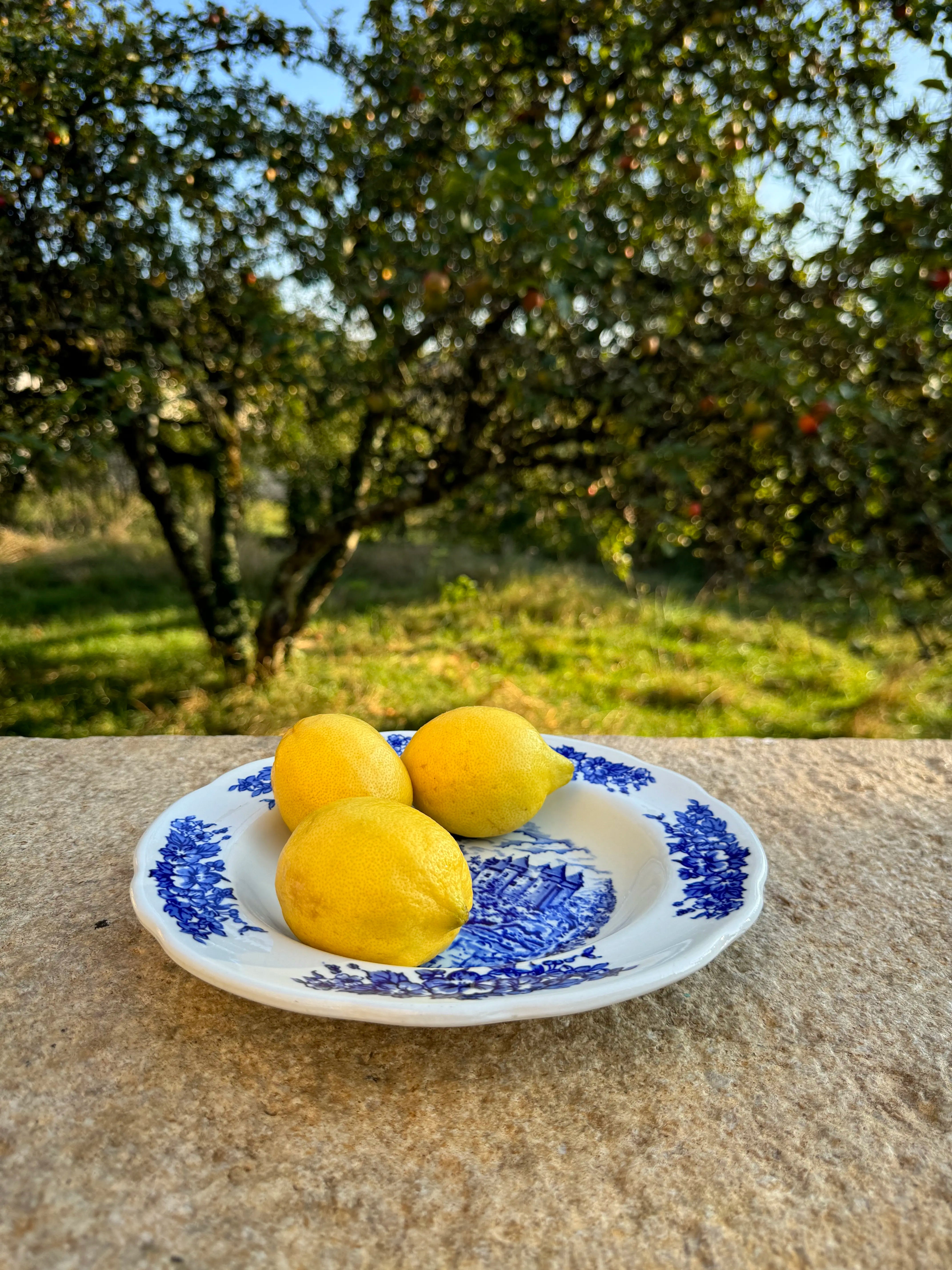 Assiette à dessert en porcelaine bleue “Pyroblan”
