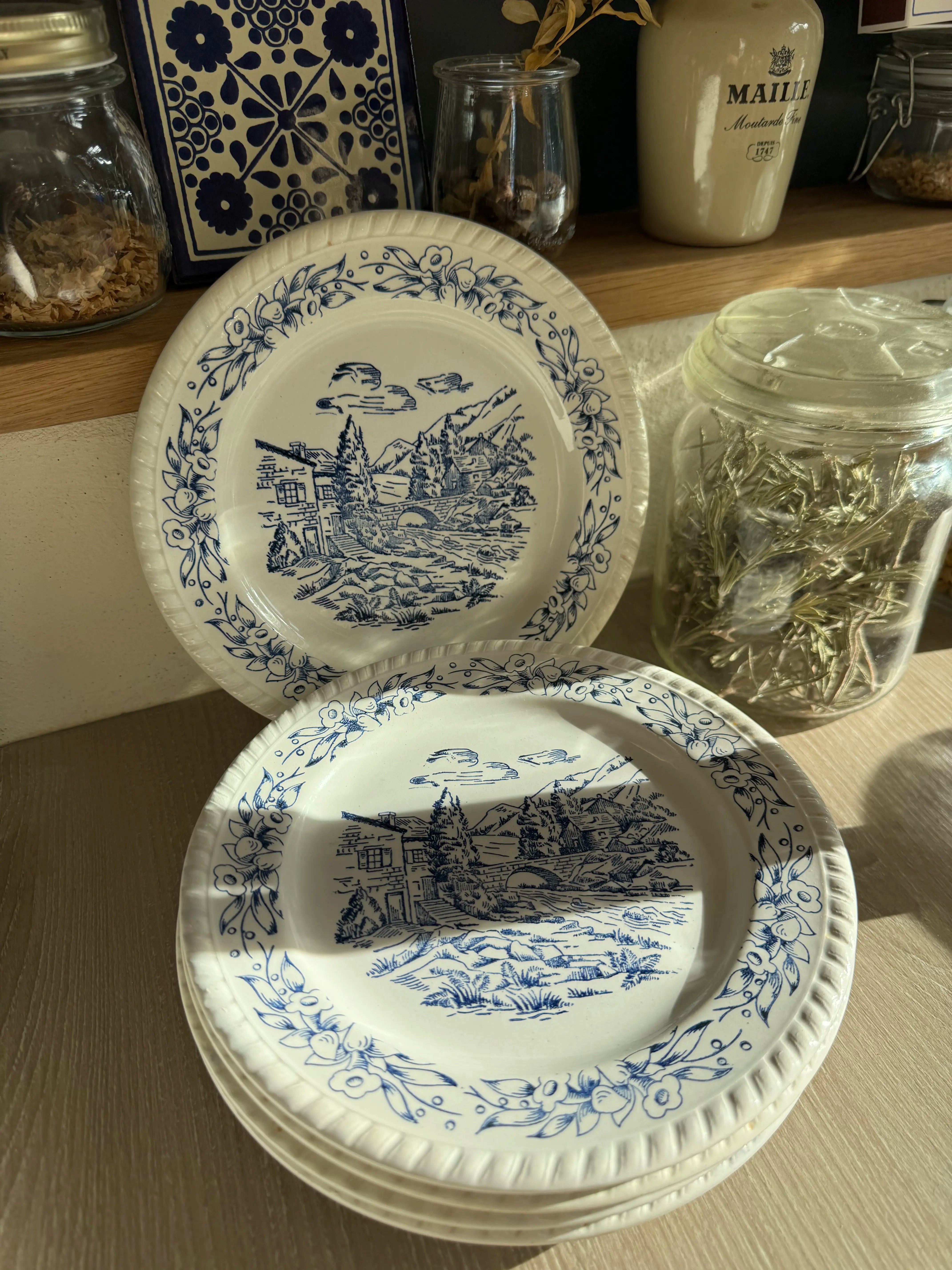 6 assiettes vintage à décor bleu