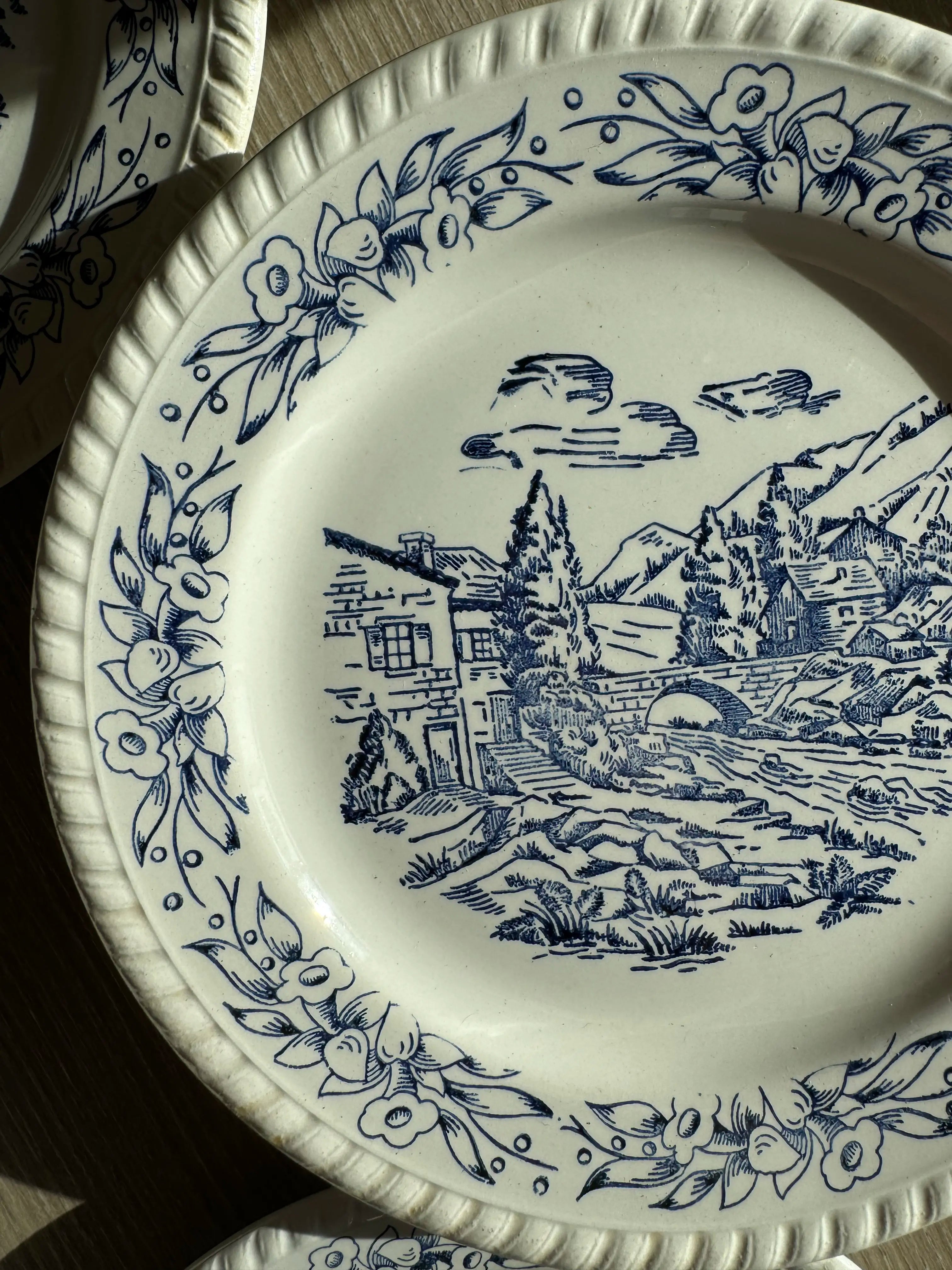 6 assiettes vintage à décor bleu