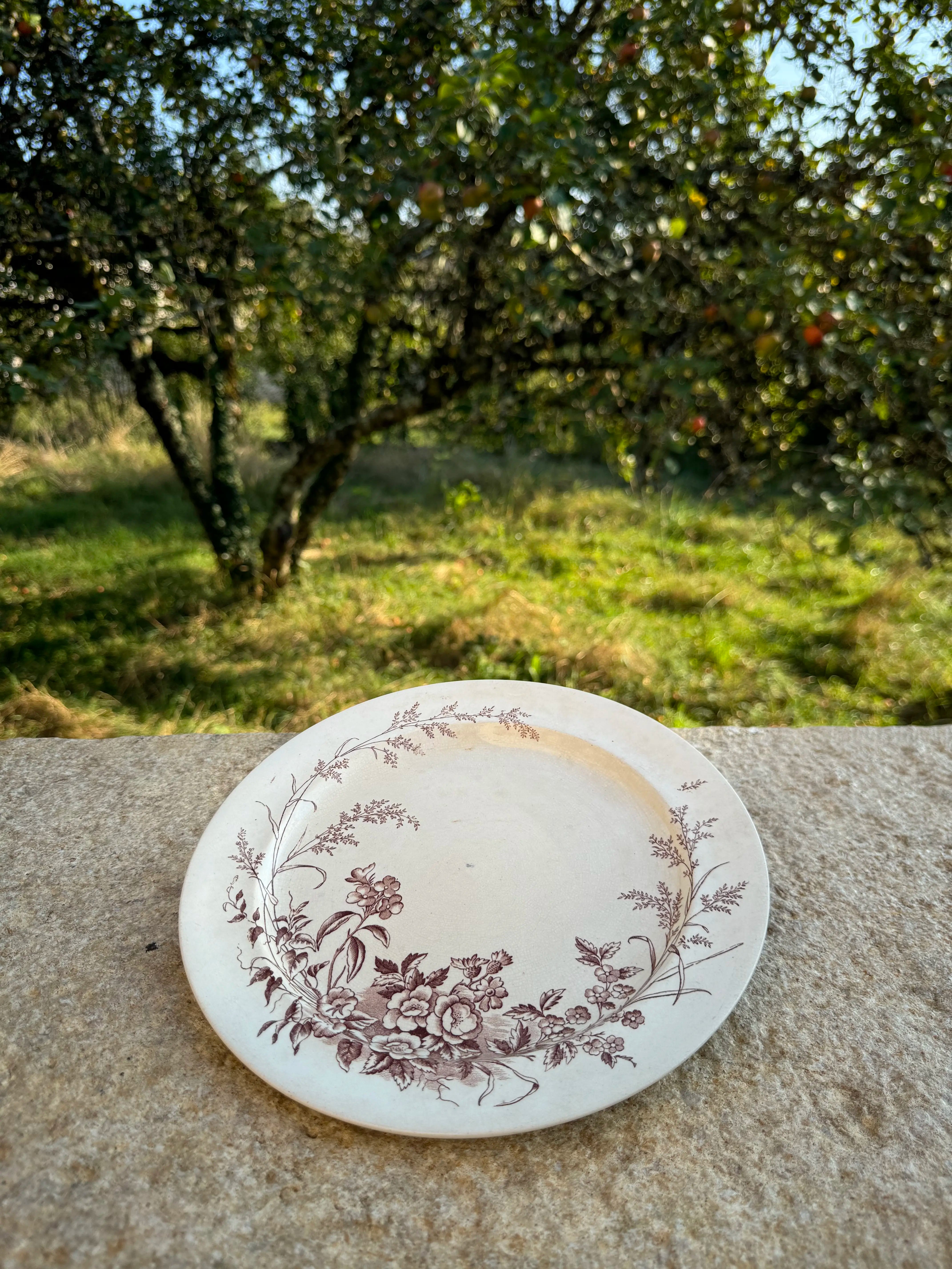 Assiette en faïence anglaise ancienne motif floral