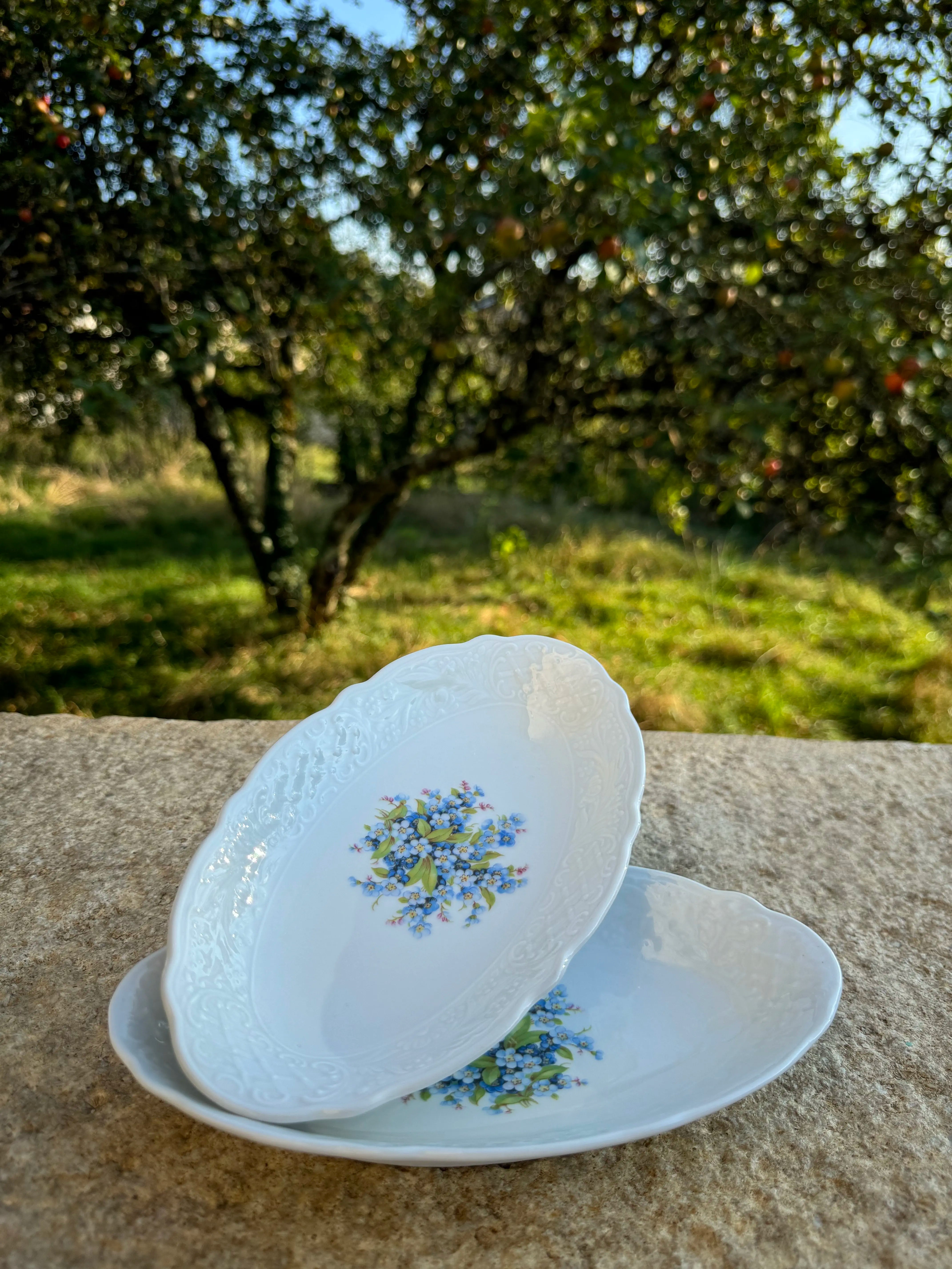 Paire de plats en porcelaine Schumann Arzberg Bavaria