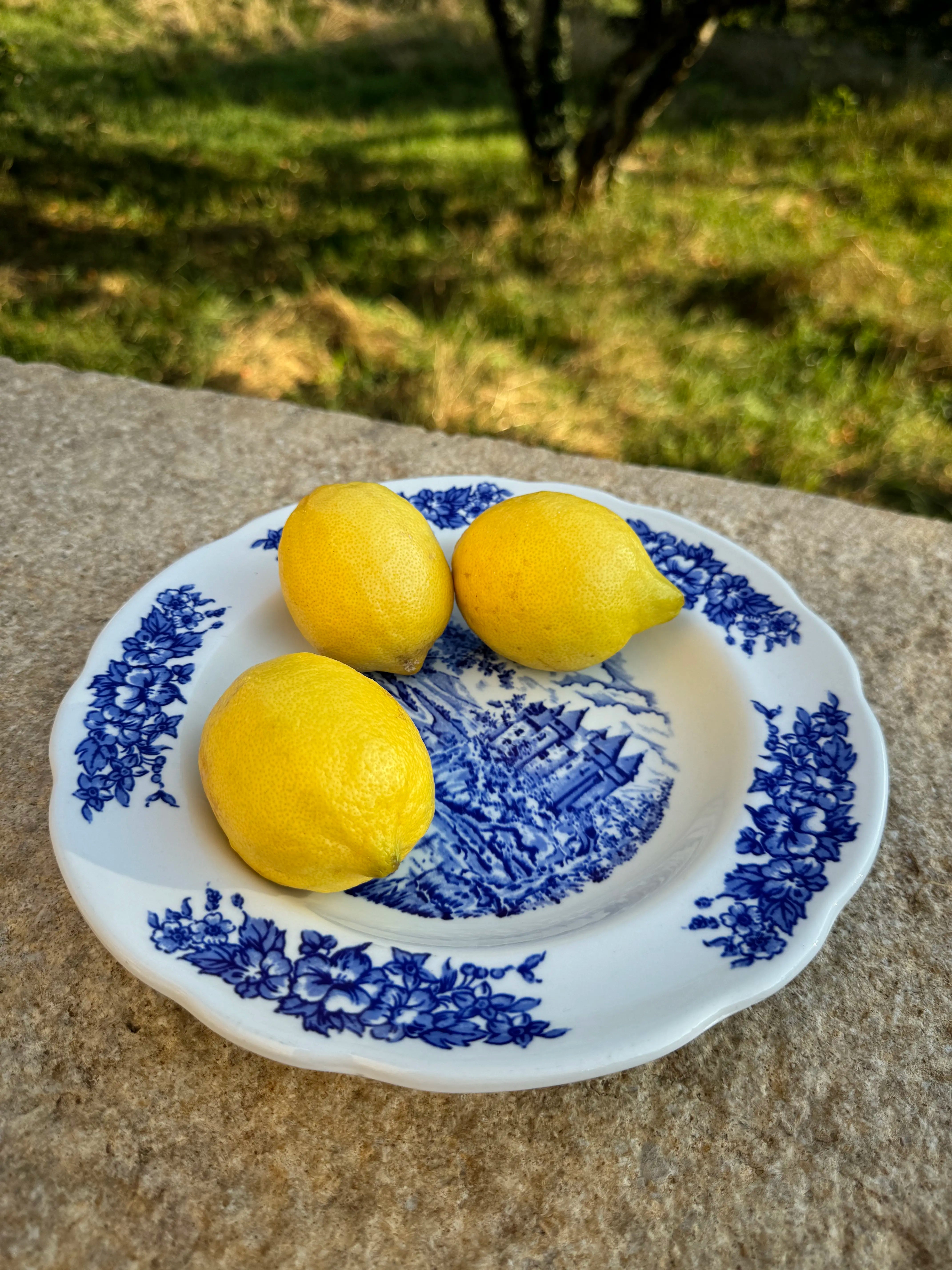 Assiette à dessert en porcelaine bleue “Pyroblan”