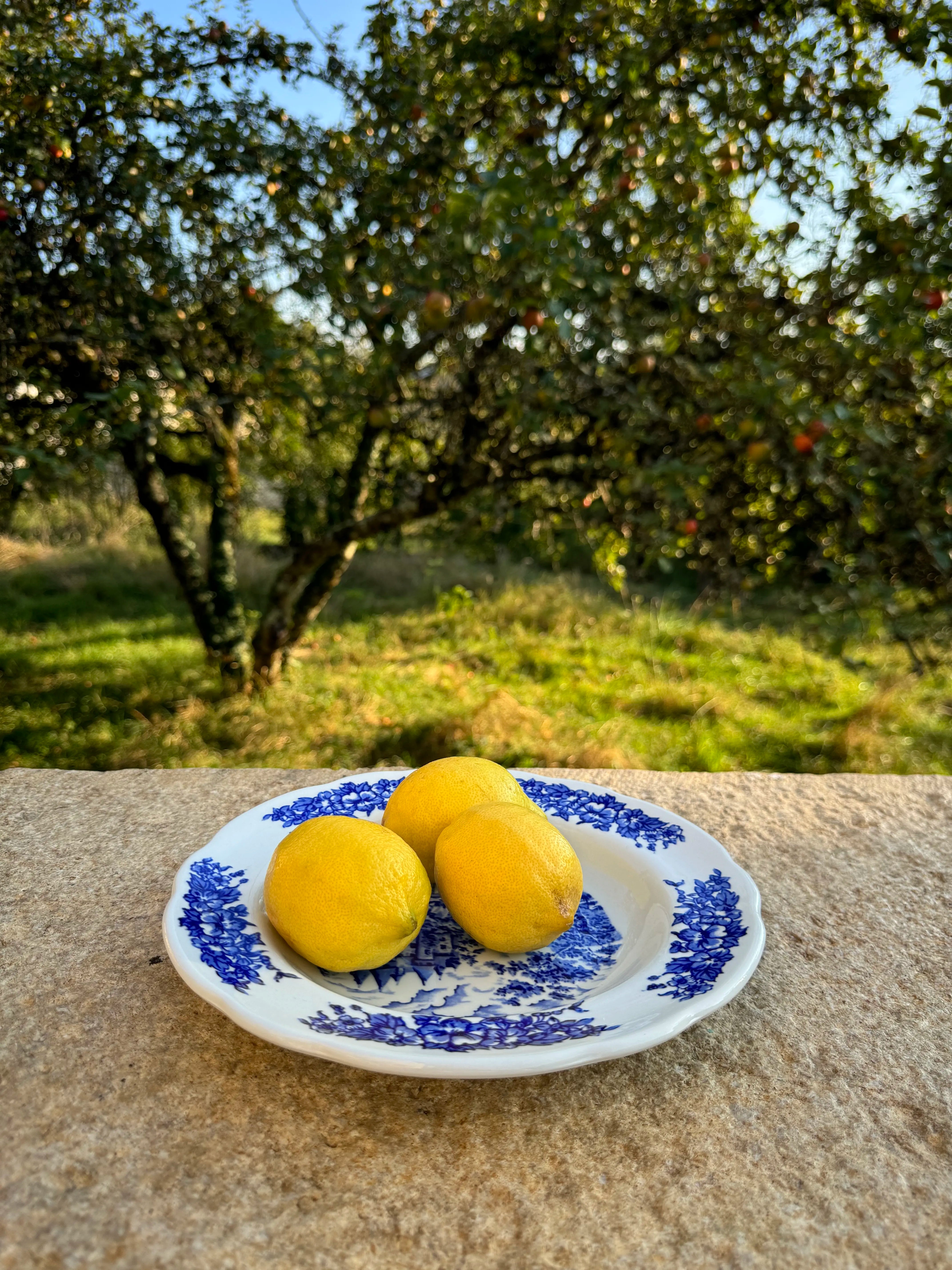 Assiette à dessert en porcelaine bleue “Pyroblan”