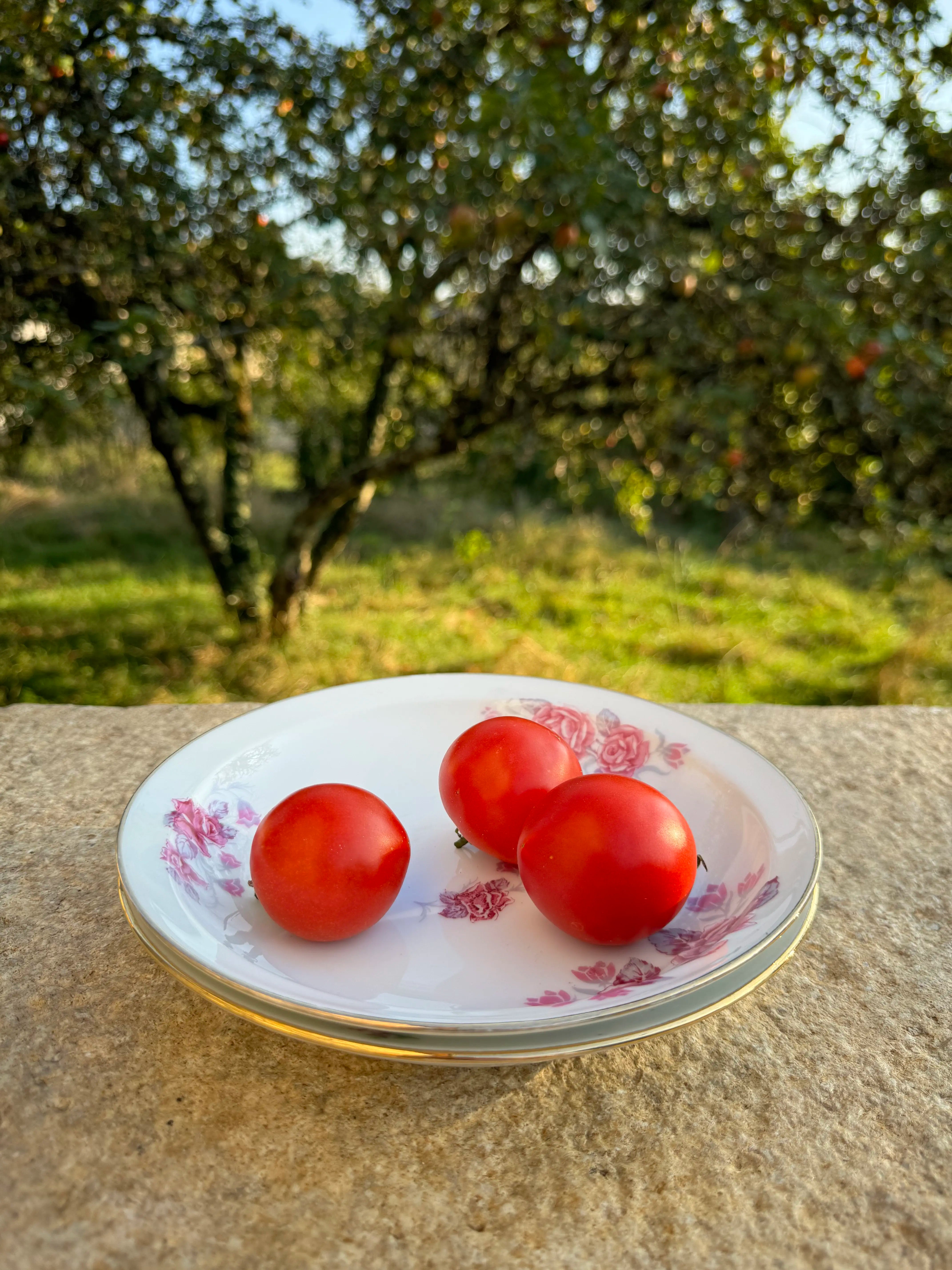 Assiettes en porcelaine fleurie