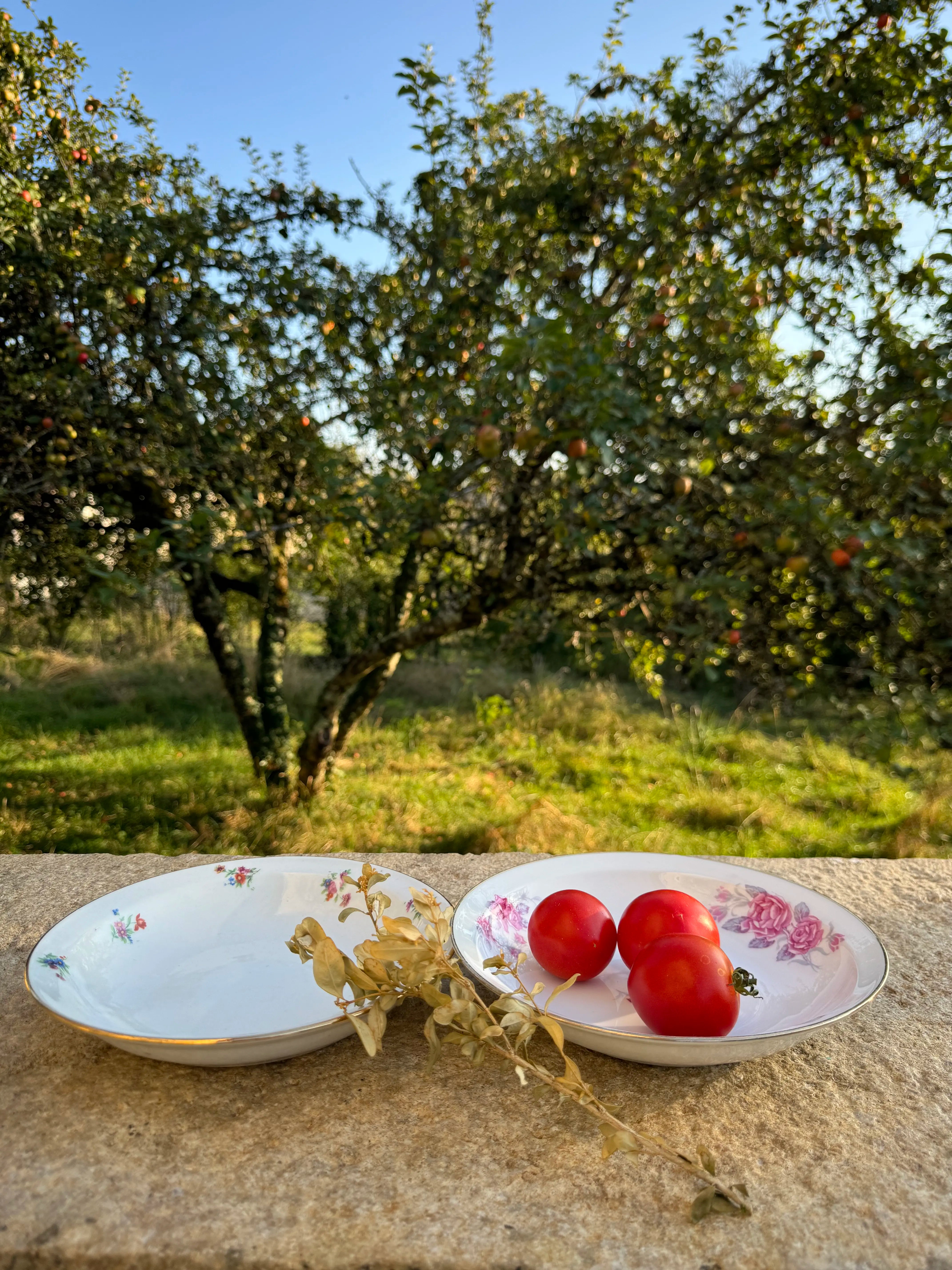 Assiettes en porcelaine fleurie