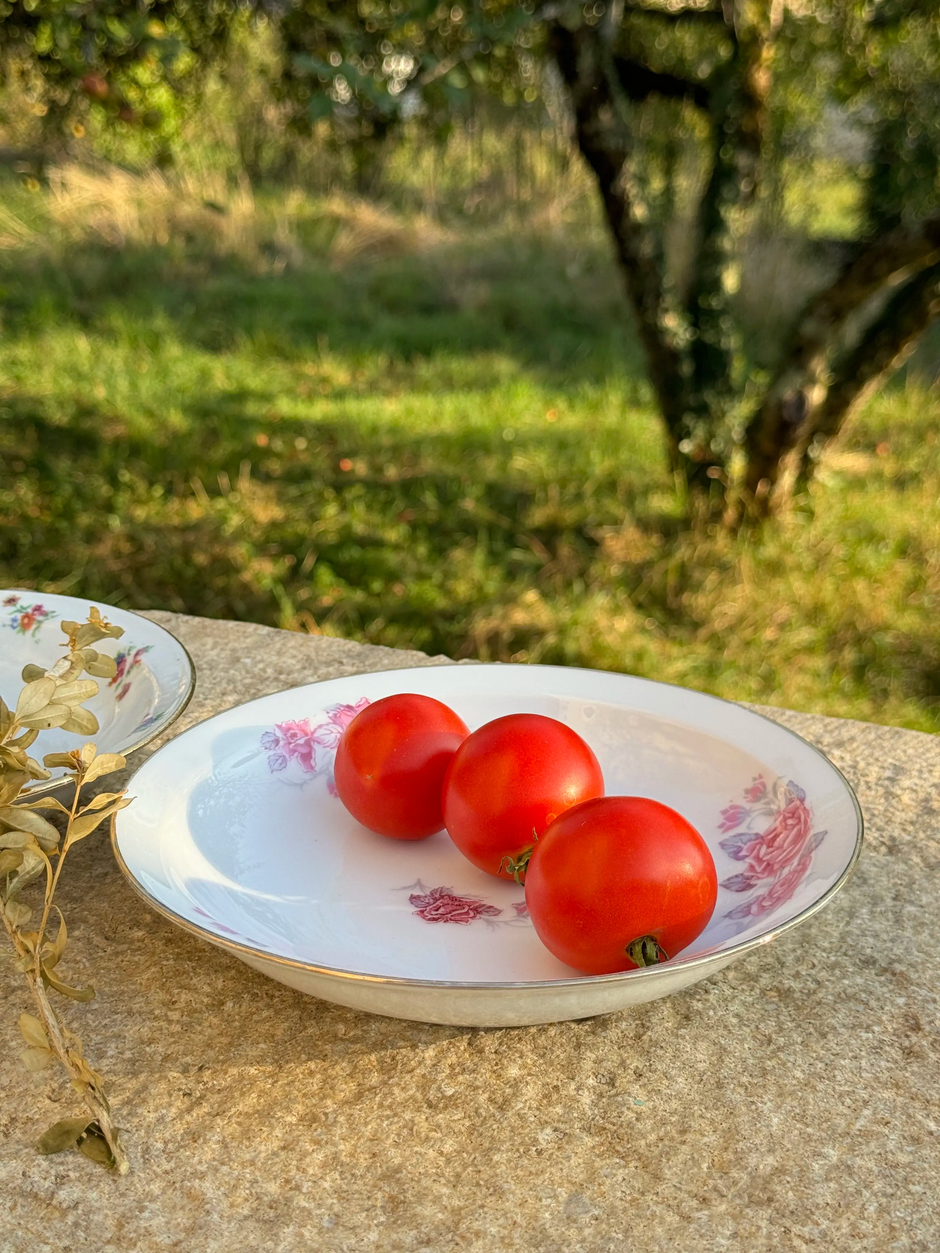 Assiettes en porcelaine fleurie