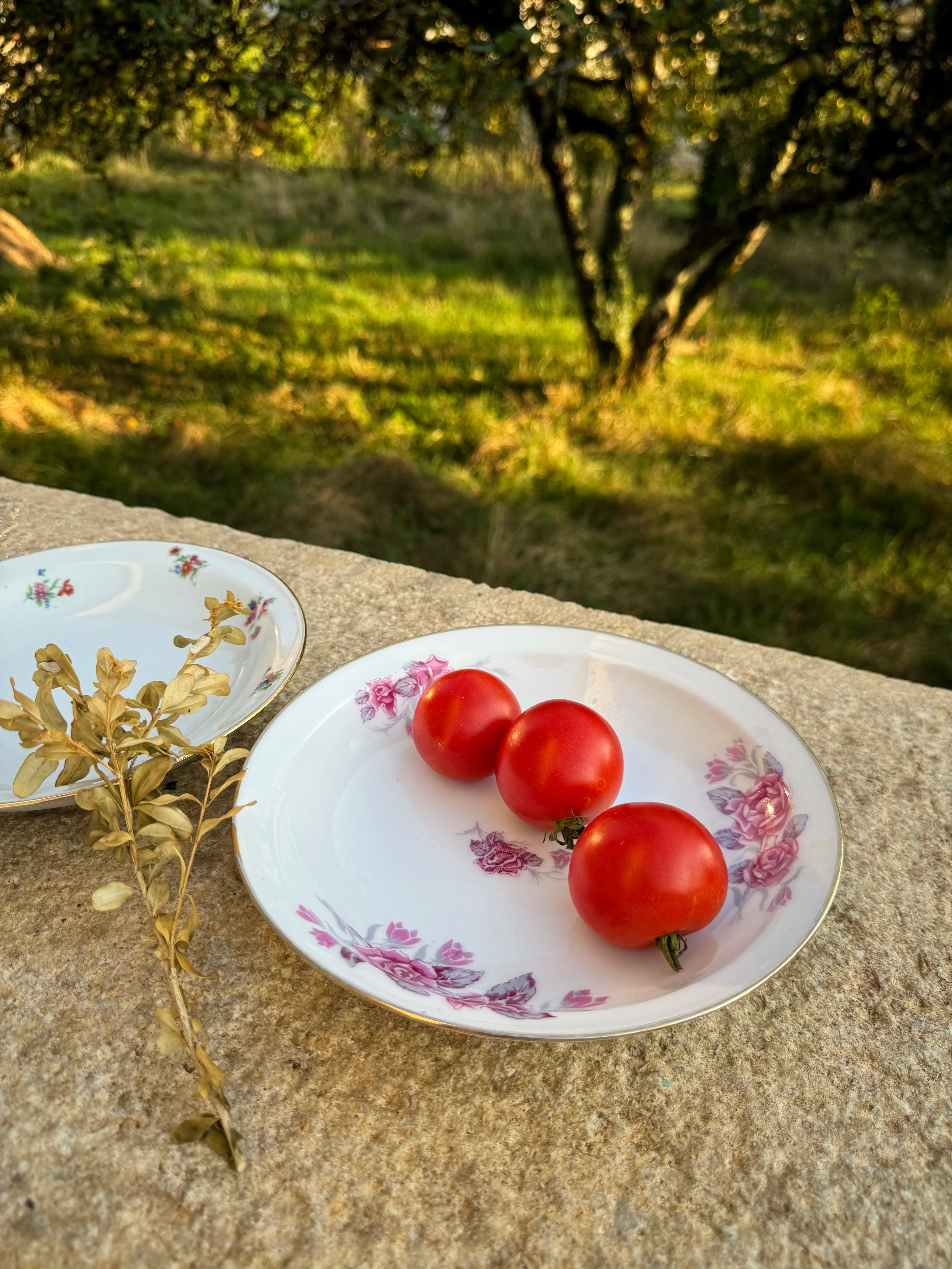 Assiettes en porcelaine fleurie